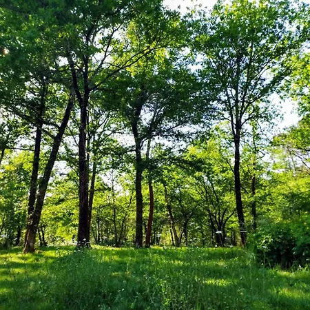 Maison Paisible En Lisiere De Foret 9 Personnes Le Temple (Gironde)
